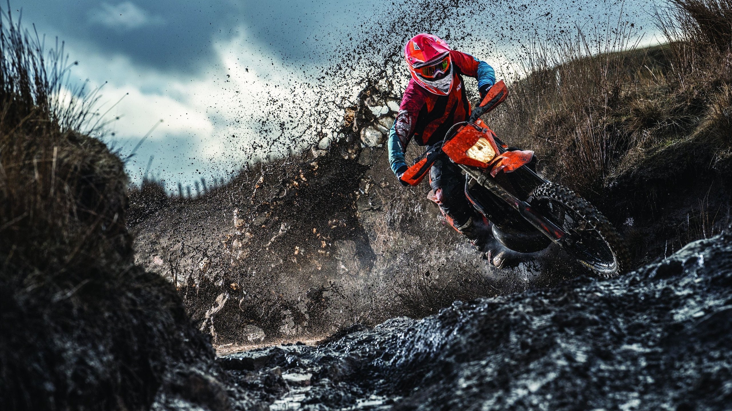 Rookie意外战胜曼联，表现优异引爆全场！赛场气氛高涨