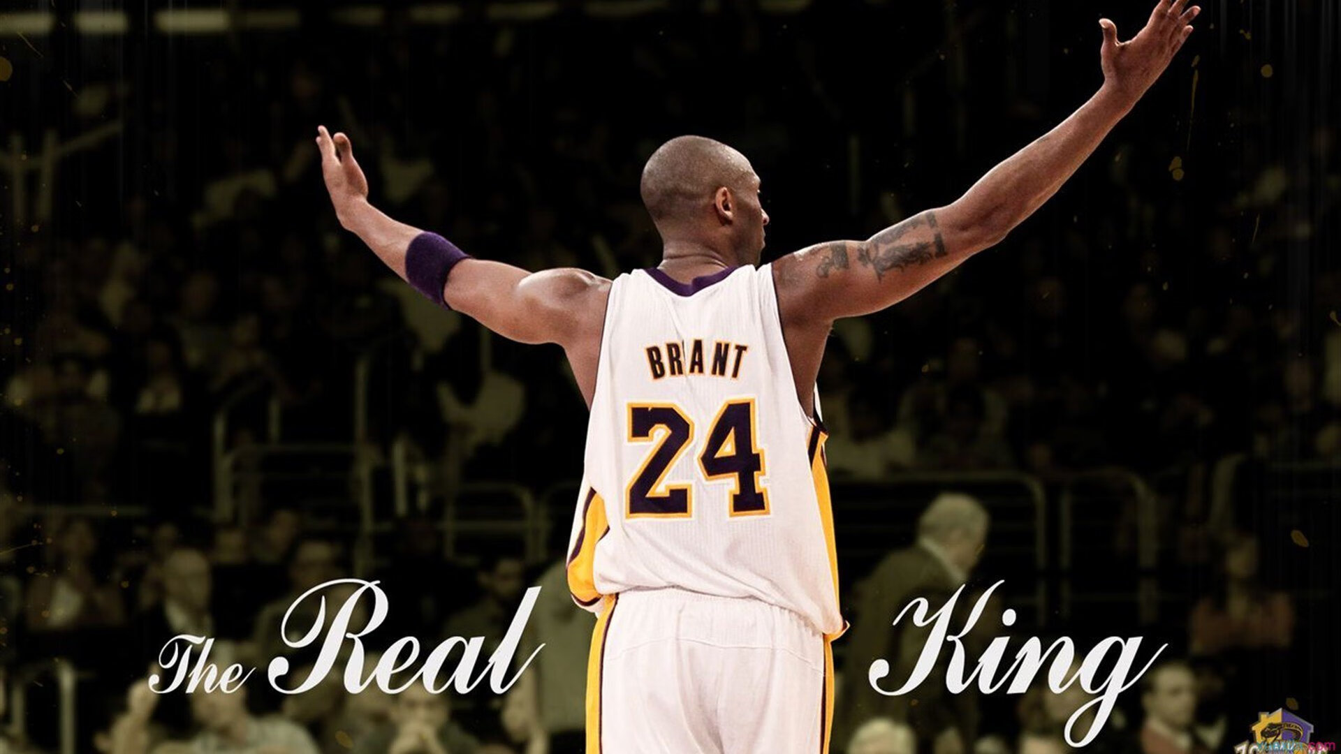 综合格斗赛场焦点！阿根廷队对阵澳大利亚队，激战正酣，豪门对决再度上演